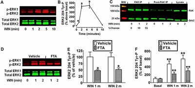 CB1 Cannabinoid Receptors Stimulate Gβγ-GRK2-Mediated FAK Phosphorylation at Tyrosine 925 to Regulate ERK Activation Involving Neuronal Focal Adhesions